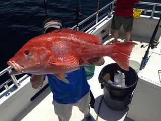 Six Hour private trip