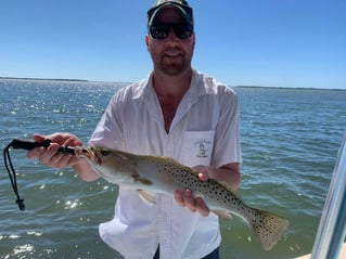 Pine Island Inshore/Nearshore Trip