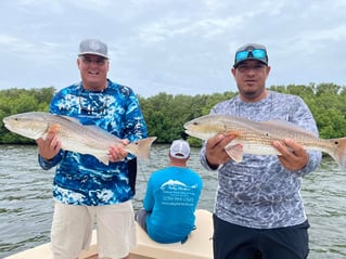 Pine Island Inshore/Nearshore Trip