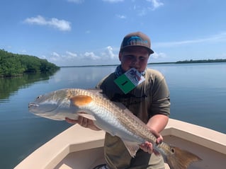 Pine Island Inshore/Nearshore Trip