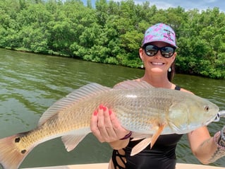 Pine Island Inshore/Nearshore Trip