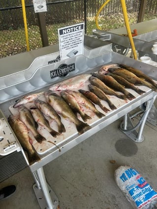 Come get you some!!!!