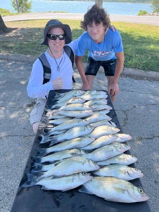 Lake Lavon White Bass