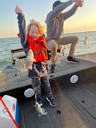 Lake Lavon White Bass