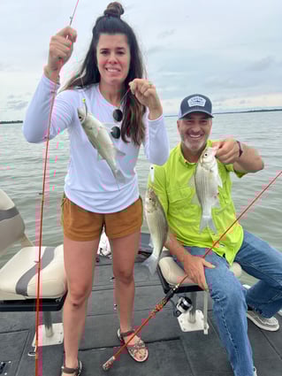 Lake Lavon White Bass