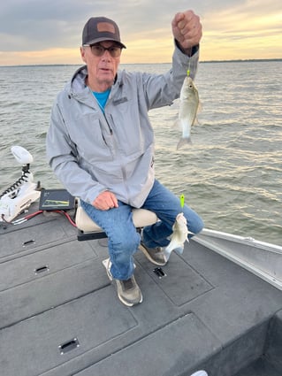 Lake Lavon White Bass