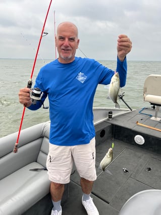 Lake Lavon White Bass