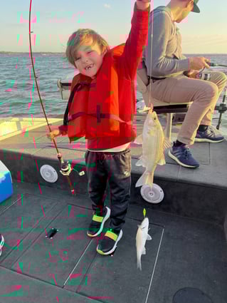 Lake Lavon White Bass