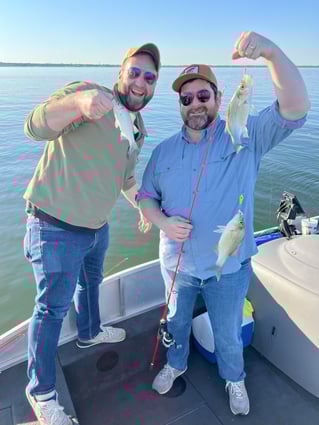 Lake Lavon White Bass