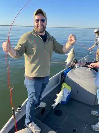 Lake Lavon White Bass