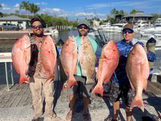 Red Snapper 10+ hour 