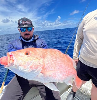 Red Snapper 10+ hour 