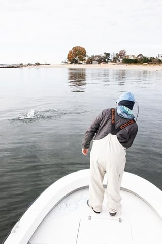 Wandering Albatross Fly Fishing
