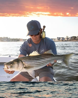 Wandering Albatross Fly Fishing