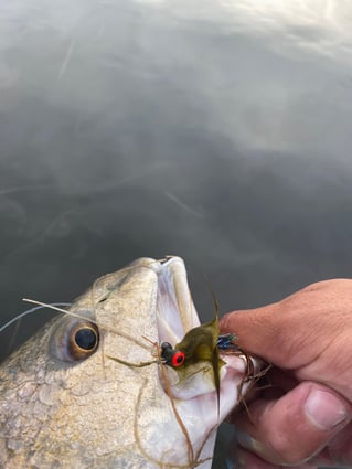 Sight casting the flats 