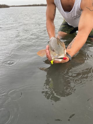 Sight casting the flats 