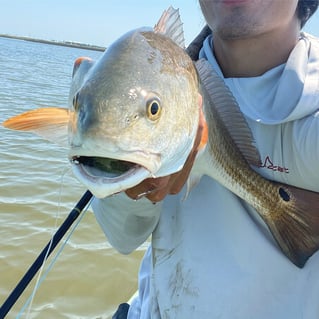 Sight casting the flats 