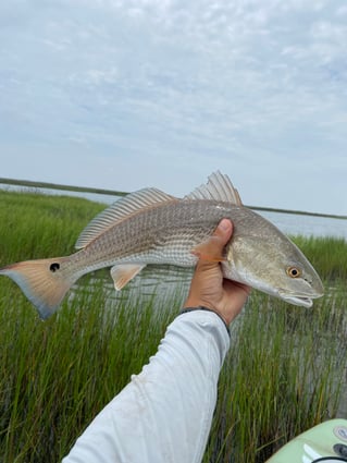 Sight casting the flats 