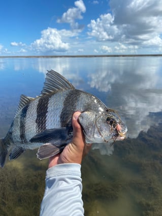 Sight casting the flats 