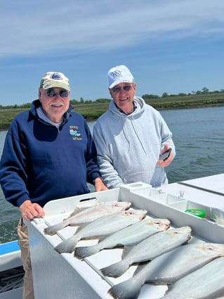 Inshore Fishing Trip - 38 Holland