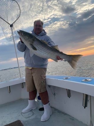 Inshore Fishing Trip - 38 Holland