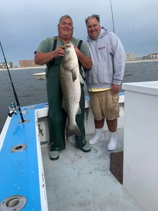 Inshore Fishing Trip - 38 Holland