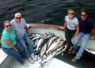 5-7 Hour Inshore Trip