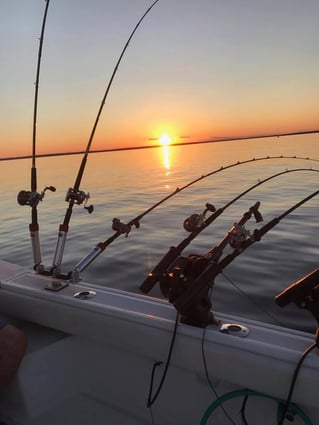 Lake Michigan Salmon & Trout