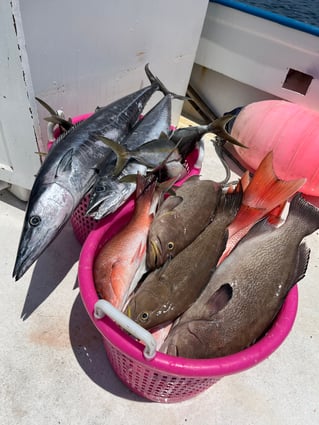 Specialist PCB,Fl DeepSea Fishing