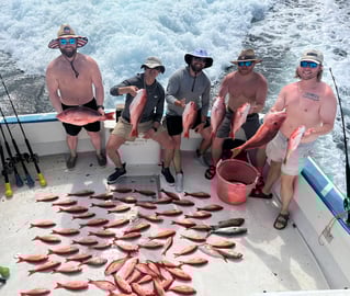 Specialist PCB,Fl DeepSea Fishing