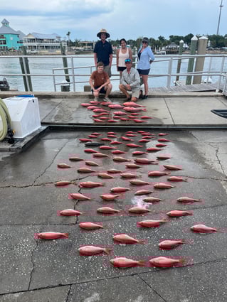 Specialist PCB,Fl DeepSea Fishing