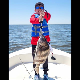 Inshore/Near Fishing Trip