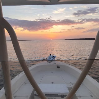 Inshore/Near Fishing Trip