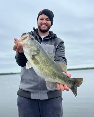 Largemouth Bass Trip