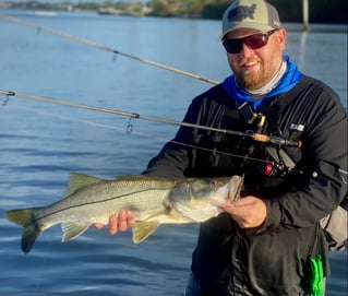 Wade Fishing Day Trip