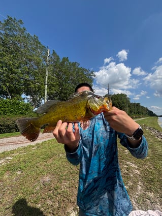 PEACOCK BASS FISHING
