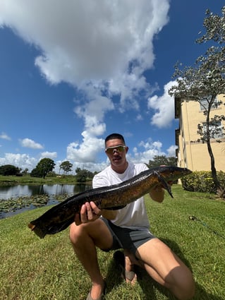 PEACOCK BASS FISHING