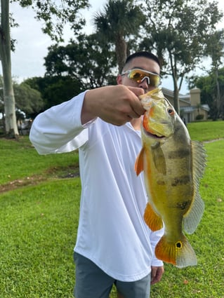 PEACOCK BASS FISHING