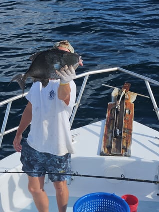 5 hour Trip offshore