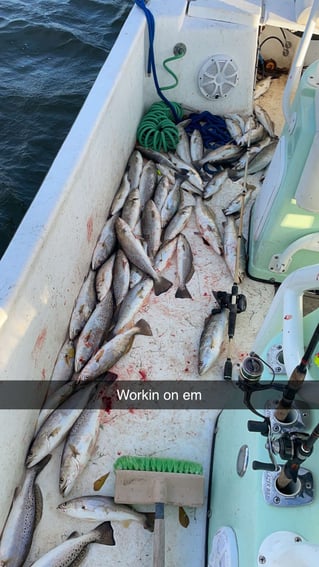 5 hour Trip offshore