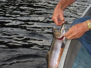 Maine Open Water Fishing Trips