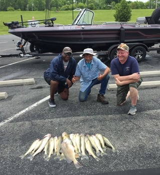 Full Day Trip – Walleye