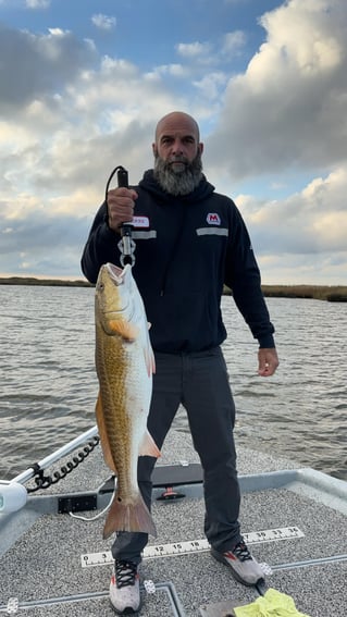 Inshore Fishing Trip