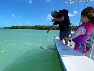 Miami Beach Tarpon Trip