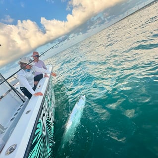Miami Beach Tarpon Trip