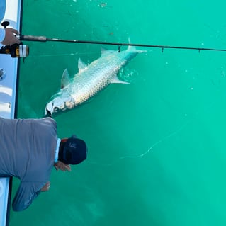 Miami Beach Tarpon Trip