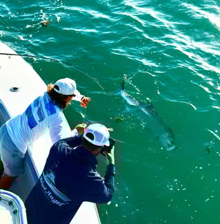 Miami Beach Tarpon Trip