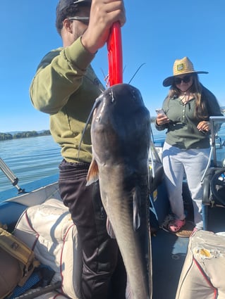 Catfish and Crappie Fishing Trip