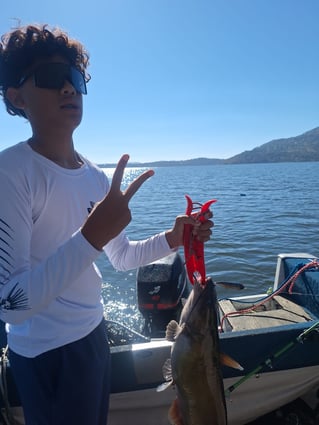 Catfish and Crappie Fishing Trip