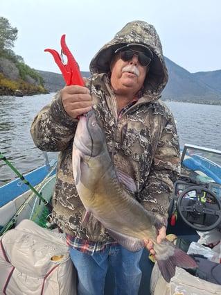 Catfish and Crappie Fishing Trip